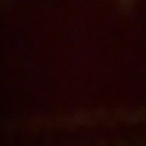 Meet your Posher, Yara